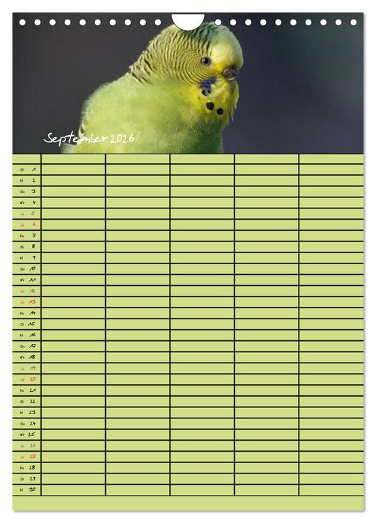 Produktbild: Der Wellensittich-Familienplaner (Wandkalender 2026 DIN A4 hoch), CALVENDO Monatskalender