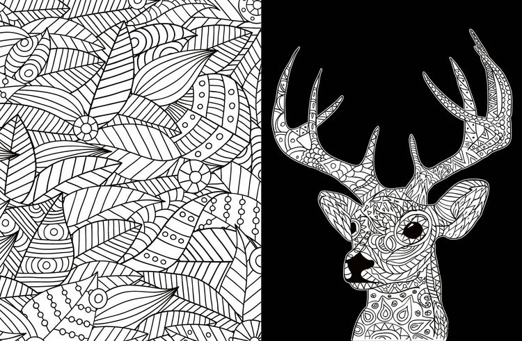 Produktbild: Black Edition: Inspiration Waldtiere