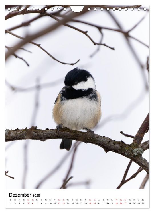 Produktbild: Heimische V&ouml;gel in Ihren G&auml;rten (Wandkalender 2026 DIN A4 hoch), CALVENDO Monatskalender