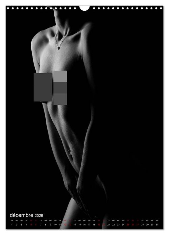 Produktbild: Apparat lumineux (Calendrier mural 2026 DIN A3 horizontal), CALVENDO calendrier mensuel
