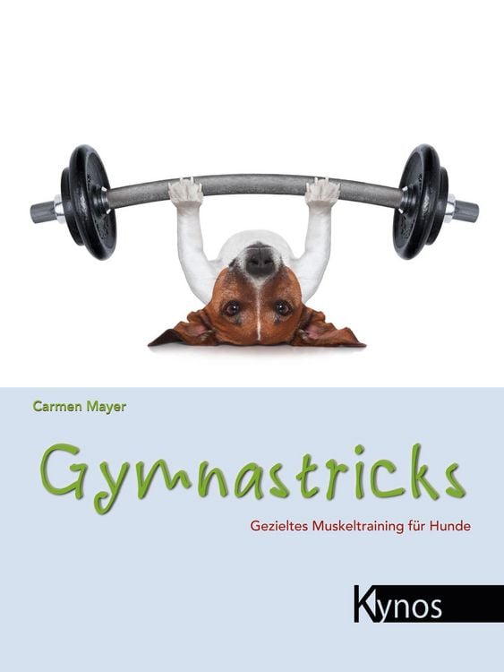 Produktbild: Gymnastricks