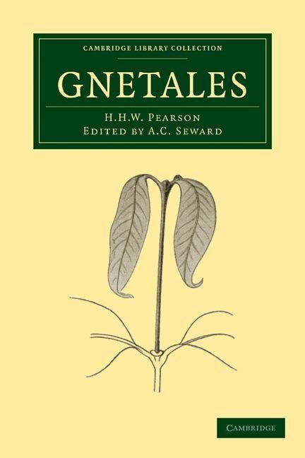 Produktbild: Gnetales