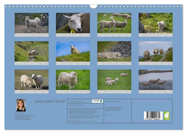 Produktbild: Ganz sch&ouml;n Schaf (Wandkalender 2026 DIN A3 quer), CALVENDO Monatskalender