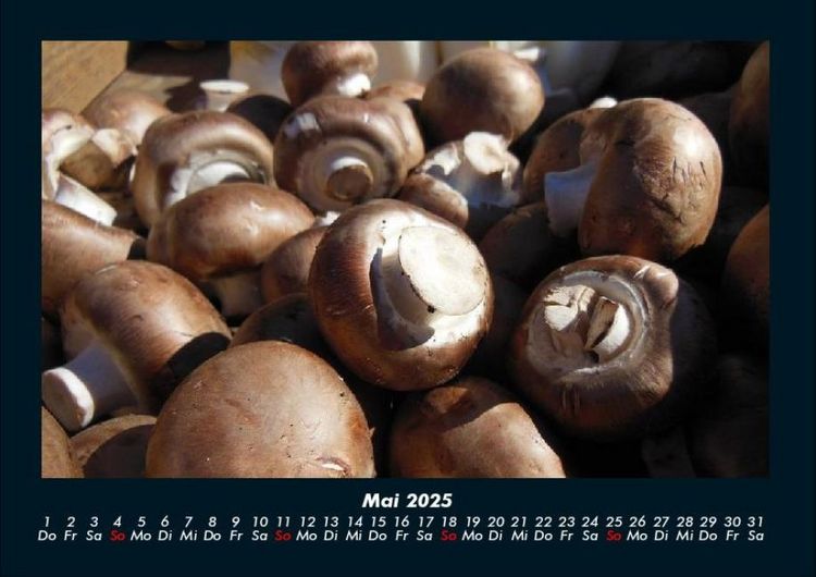 Produktbild: Pilzkalender 2025 Fotokalender DIN A4