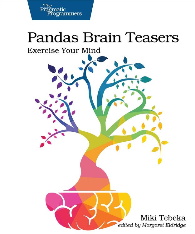 Produktbild: Pandas Brain Teasers