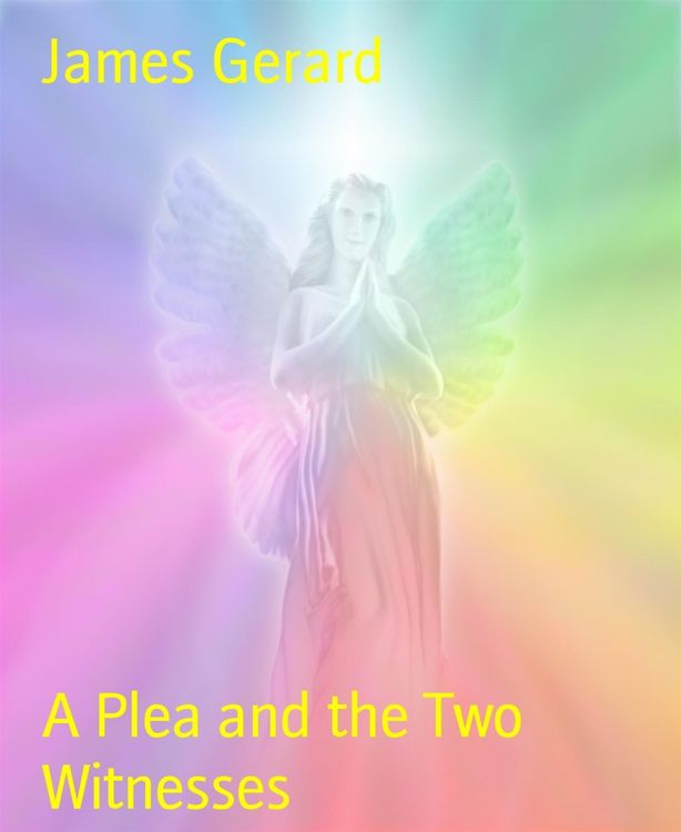 Produktbild: A Plea and the Two Witnesses