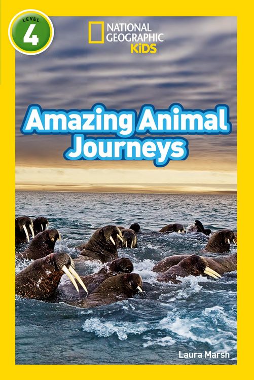 Produktbild: Amazing Animal Journeys