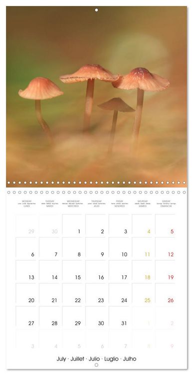 Produktbild: Les champignons - Un monde merveilleux (Calendrier mural carr&eacute; 2026 30x30 cm) Calendrier double avec une page pour vos prises de notes