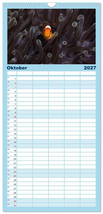 Produktbild: Familienplaner 2027 - Tauchen, Fische und Meer mit 5 Spalten (Wandkalender, 21 x 45 cm) CALVENDO
