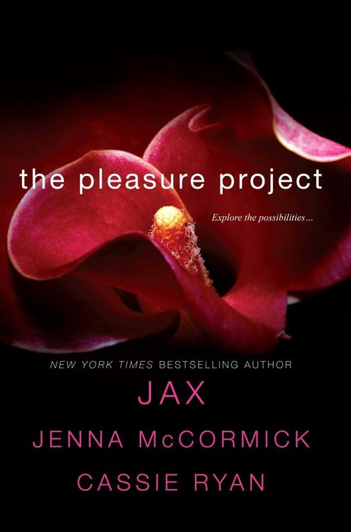 Produktbild: Pleasure Project