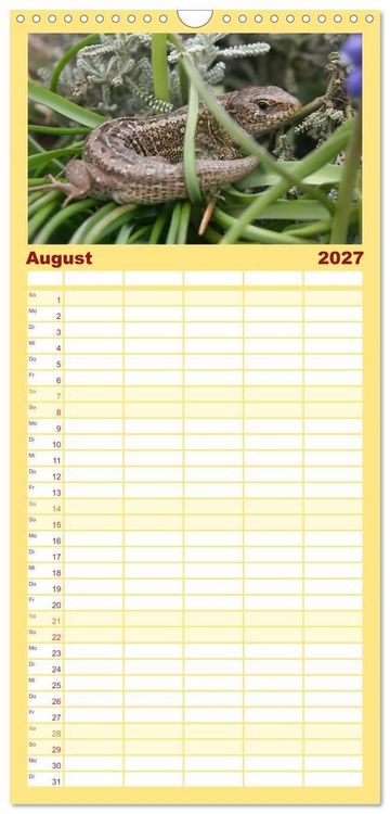 Produktbild: Familienplaner 2027 - Minisaurier im Garten mit 5 Spalten (Wandkalender, 21 x 45 cm) CALVENDO