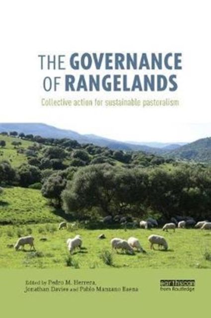 Produktbild: The Governance of Rangelands