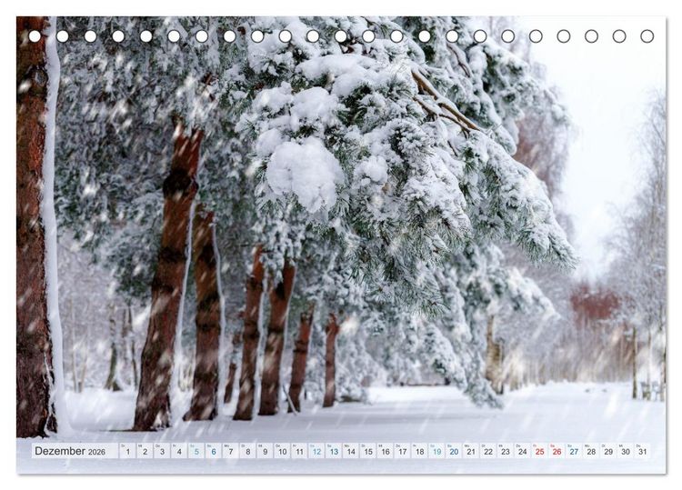 Produktbild: Mein Norderstedt (Tischkalender 2026 DIN A5 quer), CALVENDO Monatskalender