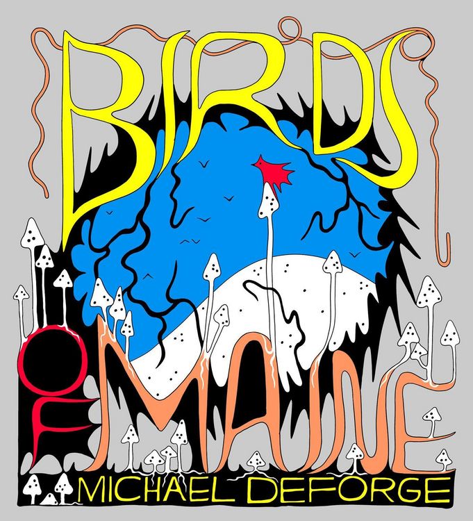 Produktbild: Birds of Maine