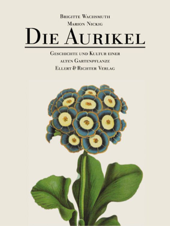Produktbild: Die Aurikel