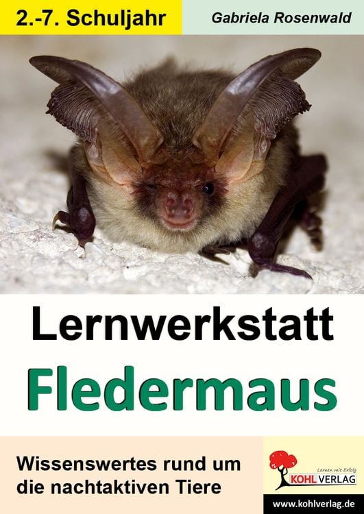 Bild vom Artikel Lernwerkstatt Die Fledermaus vom Autor Gabriela Rosenwald