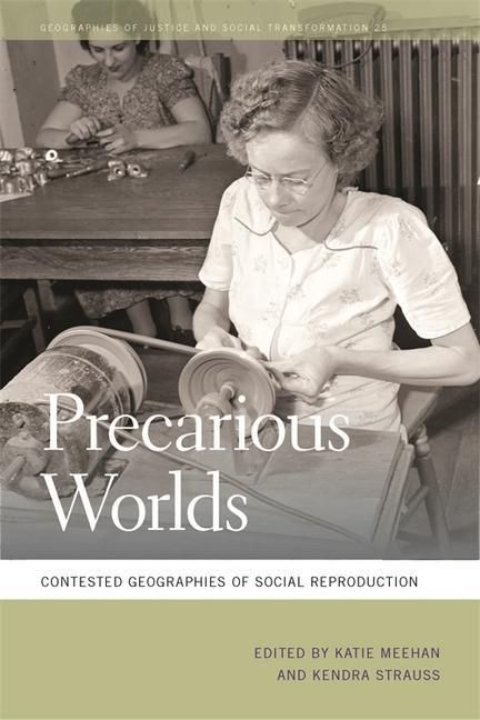 Produktbild: Precarious Worlds