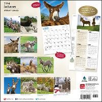 Produktbild: Jackasses and the Things They Say Calendar