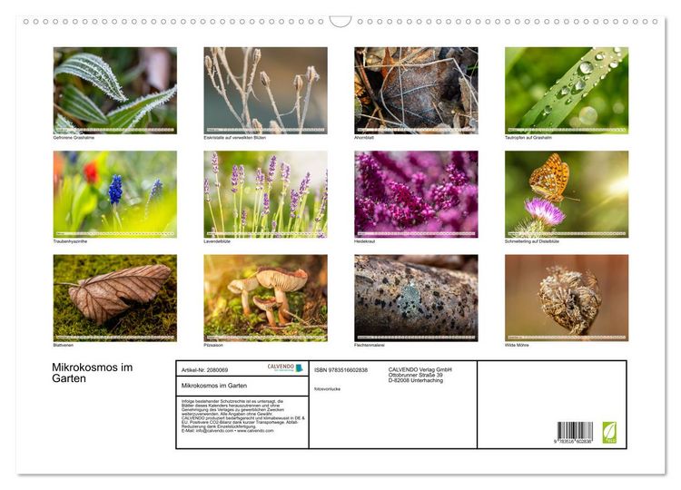 Produktbild: Mikrokosmos im Garten (Wandkalender 2026 DIN A2 quer), CALVENDO Monatskalender