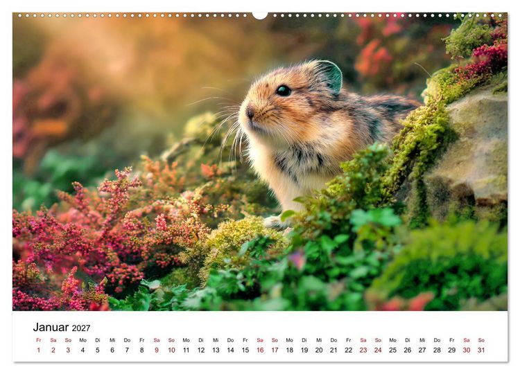 Produktbild: Lemminge - Kleine Helden der Tundra (Wandkalender 2027 DIN A2 quer), CALVENDO Monatskalender