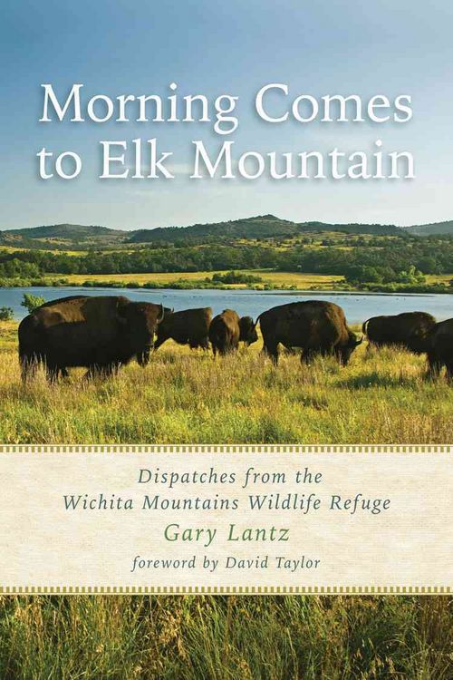 Produktbild: Morning Comes to Elk Mountain
