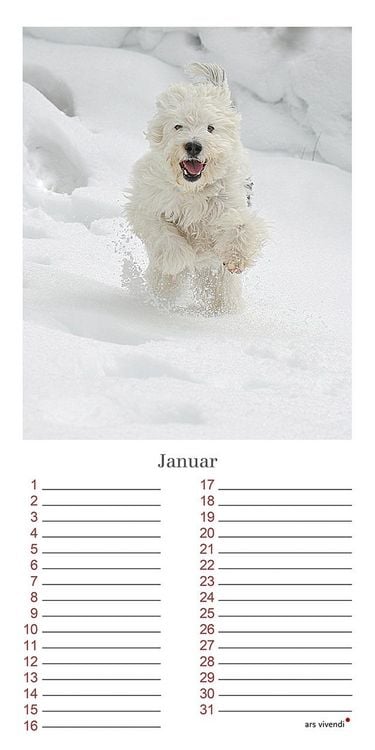 Produktbild: Geburtstagskalender Hunde