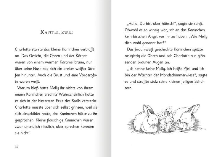 Produktbild: Magische H&auml;schen &ndash; Schokos&uuml;&szlig;e Abenteuer (Magische H&auml;schen)