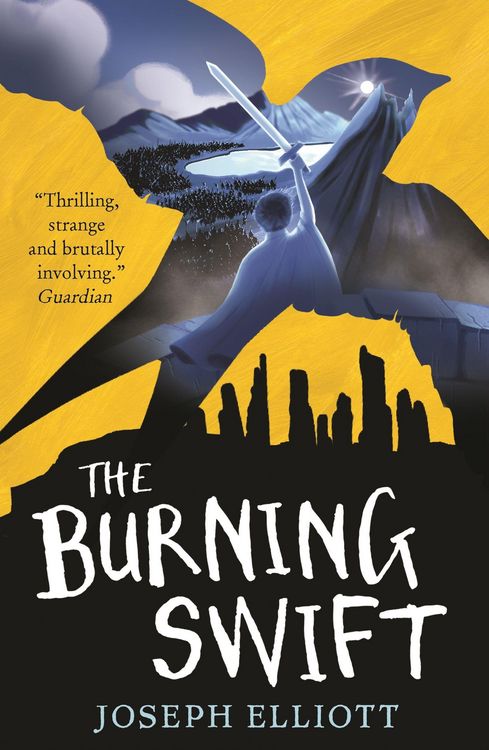Produktbild: The Burning Swift (Shadow Skye, Book Three)