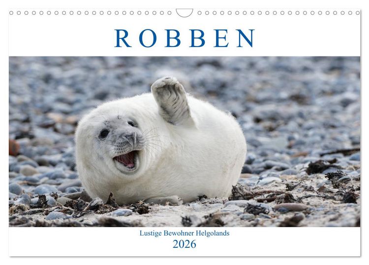 Produktbild: Robben - Lustige Bewohner Helgolands (Wandkalender 2026 DIN A3 quer), CALVENDO Monatskalender