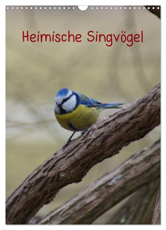 Produktbild: Heimische Singv&ouml;gel (Wandkalender 2026 DIN A3 hoch), CALVENDO Monatskalender