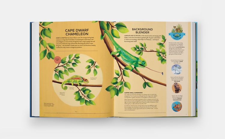 Produktbild: Nature's Tiny Champions