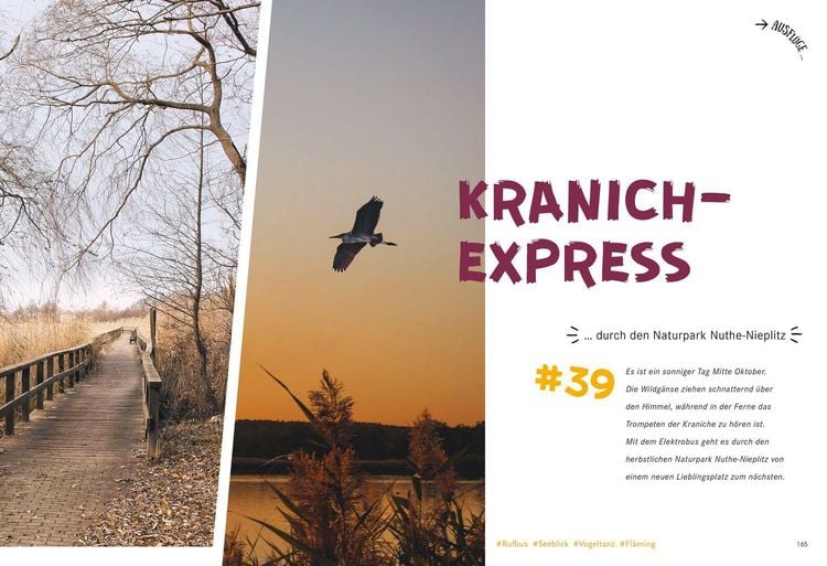 Produktbild: 52 kleine & gro&szlig;e Eskapaden Fl&auml;ming, Niederlausitz und Spreewald