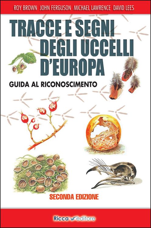 Produktbild: Tracce e segni degli uccelli d'Europa. Guida al riconoscimento
