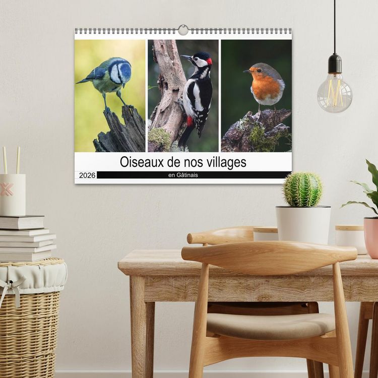 Produktbild: Oiseaux de nos villages en G&acirc;tinais (Calendrier mural 2026 DIN A3 vertical), CALVENDO calendrier mensuel