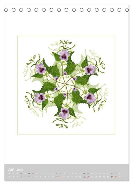 Produktbild: Pflanzen - Mandalas aus Bl&uuml;ten und Bl&auml;ttern (Tischkalender 2026 DIN A5 hoch), CALVENDO Monatskalender