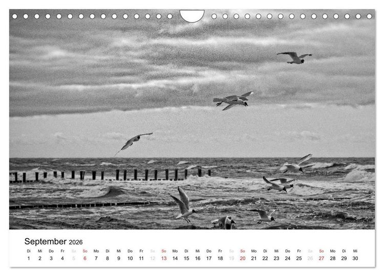 Produktbild: Ostseebad Zingst - Impressionen in Schwarz-Wei&szlig; (Wandkalender 2026 DIN A4 quer), CALVENDO Monatskalender