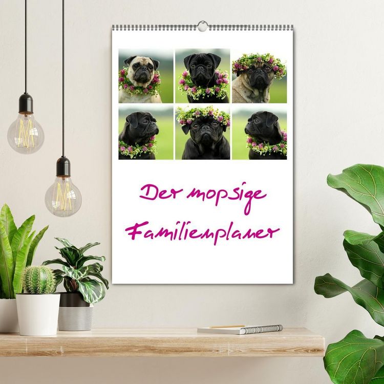 Produktbild: Der mopsige Familienplaner (Wandkalender 2027 DIN A2 hoch), CALVENDO Monatskalender
