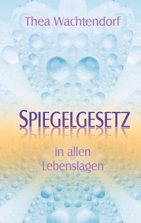 Produktbild: Spiegelgesetz in allen Lebenslagen