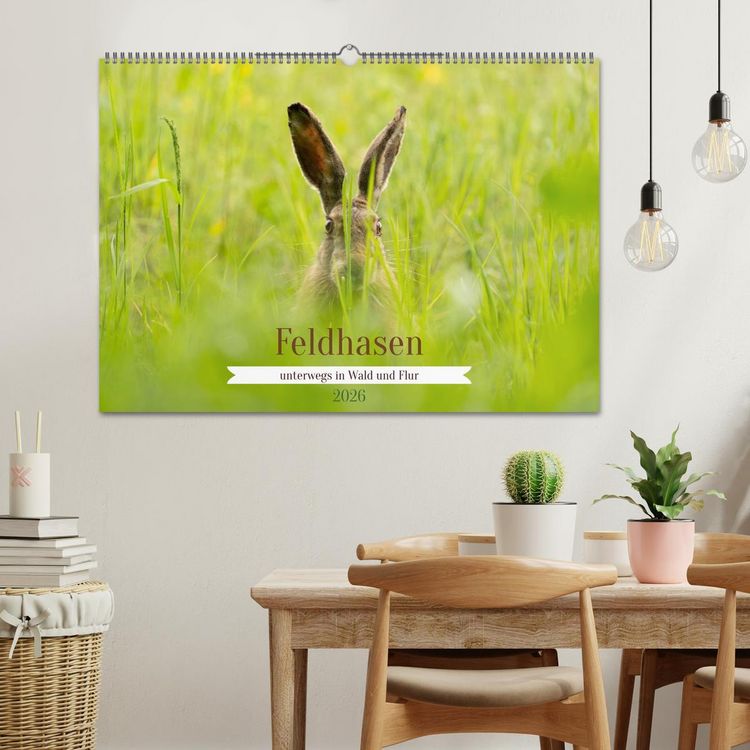 Produktbild: Feldhasen unterwegs in Wald und Flur (Wandkalender 2026 DIN A2 quer), CALVENDO Monatskalender