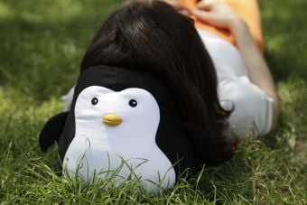 Produktbild: Zip & Flip Penguin