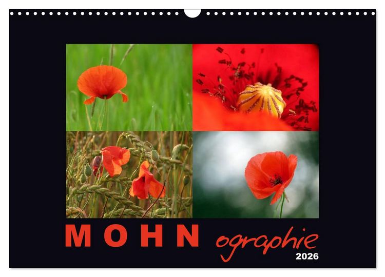 Produktbild: MOHNographie (Wandkalender 2026 DIN A3 quer), CALVENDO Monatskalender