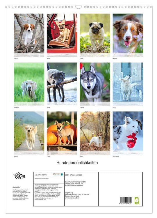 Produktbild: Hundepers&ouml;nlichkeiten (Wandkalender 2026 DIN A2 hoch), CALVENDO Monatskalender