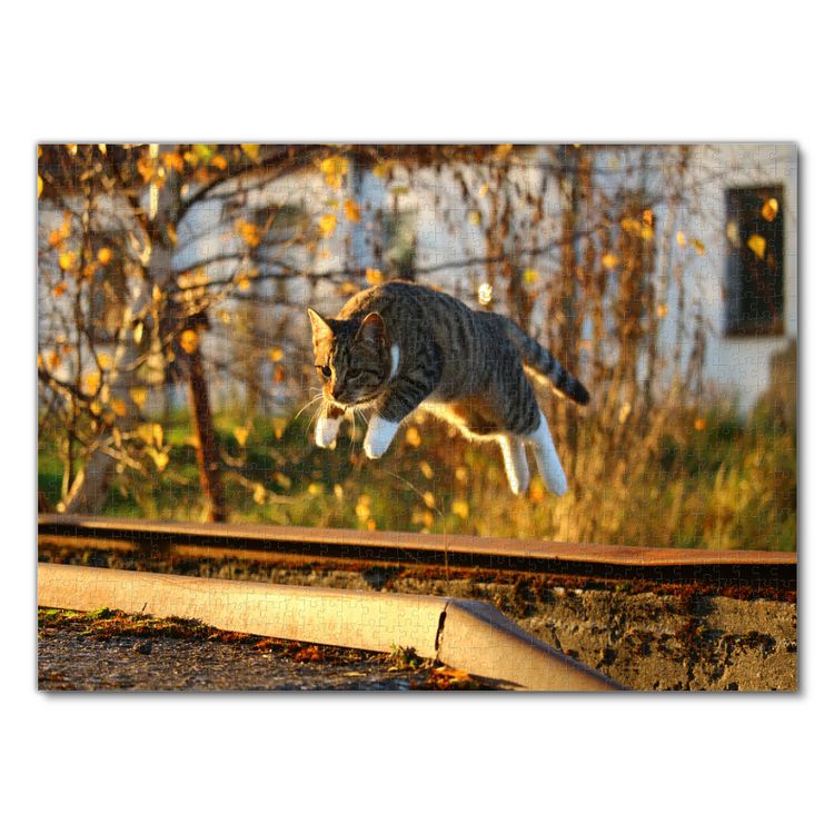 Produktbild: Lais Puzzle Katze im Herbst 1000 Teile