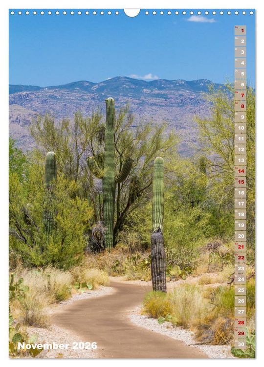 Produktbild: SAGUARO NATIONAL PARK W&uuml;stenimpressionen aus Arizona (Wandkalender 2026 DIN A3 hoch), CALVENDO Monatskalender