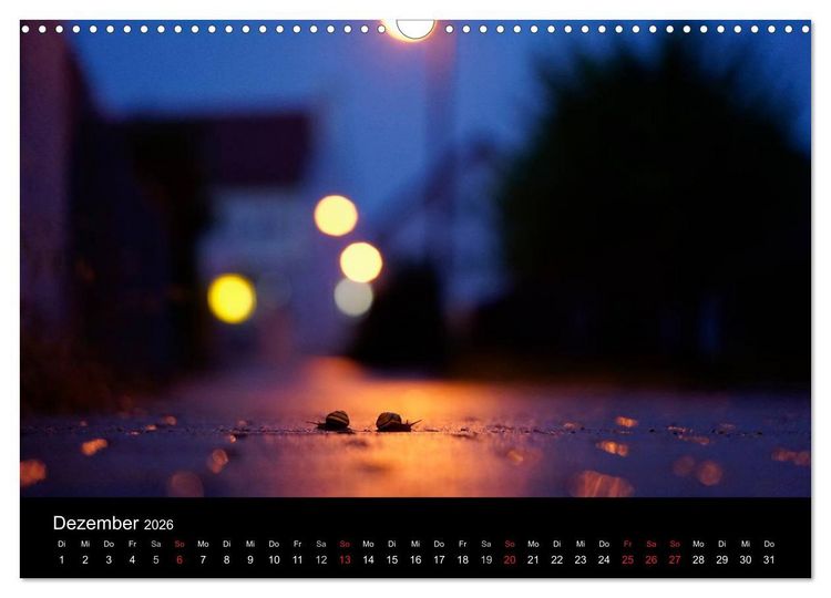 Produktbild: Kleine B&auml;nderschnecke ganz gro&szlig; - Gem&uuml;tlich durch das neue Jahr (Wandkalender 2026 DIN A3 quer), CALVENDO Monatskalender