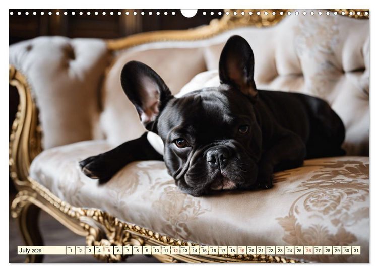 Produktbild: Little kings - French Bulldogs (Wall Calendar 2026 DIN A3 landscape), CALVENDO 12 Month Wall Calendar