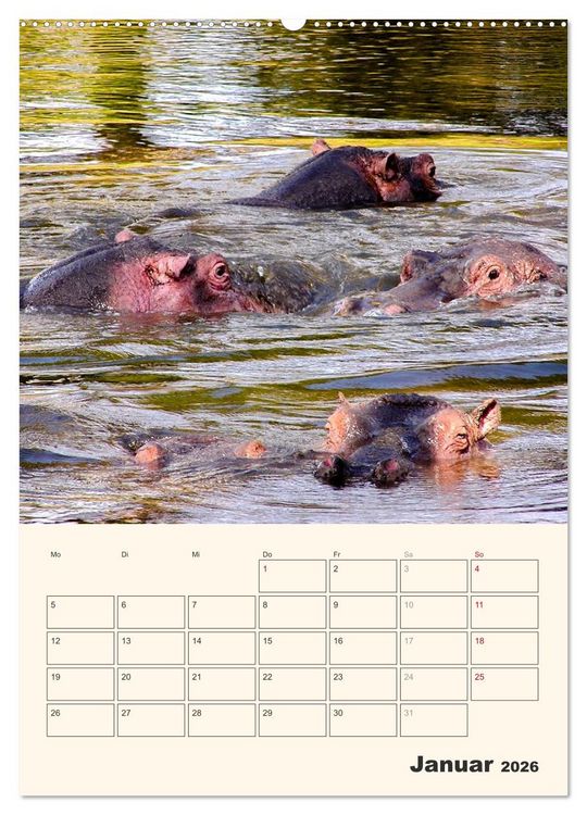 Produktbild: Kenia &ndash; Terminplaner (hochwertiger Premium Wandkalender 2026 DIN A2 hoch), Kunstdruck in Hochglanz