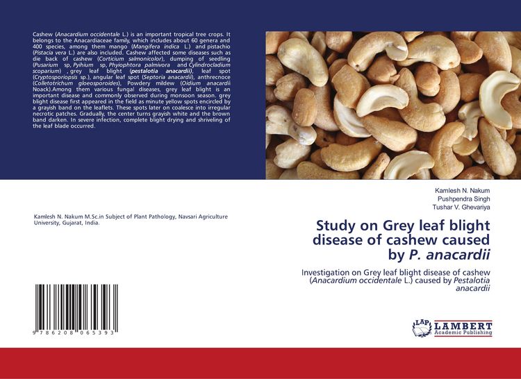 Produktbild: Study on Grey leaf blight disease of cashew caused by P. anacardii
