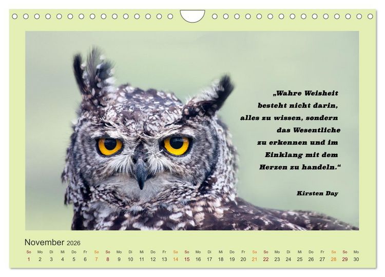 Produktbild: Co-Kreation, Gemeinsam Wunder erschaffen (Wandkalender 2026 DIN A4 quer), CALVENDO Monatskalender