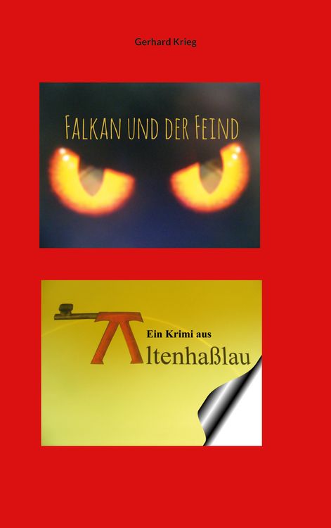 Produktbild: Falkan und der Feind